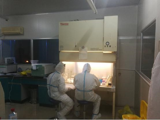 file0002.jpg file0002.jpg