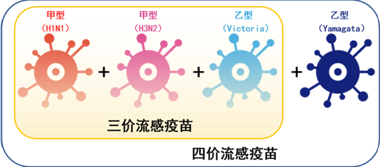 334556.png 334556.png