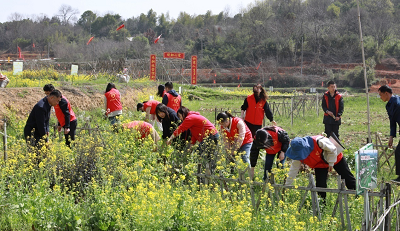 图片5.png 图片5.png