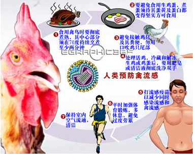 人感染高致病性禽流感