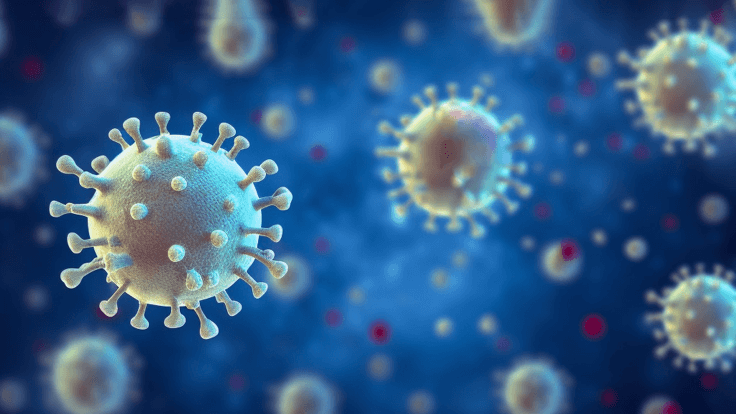 新型冠状病毒感染专题