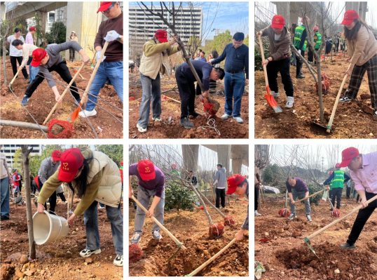 1710296643039.png QQ截图3.png