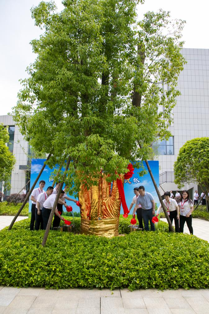 1724813743769.png 图片2.png