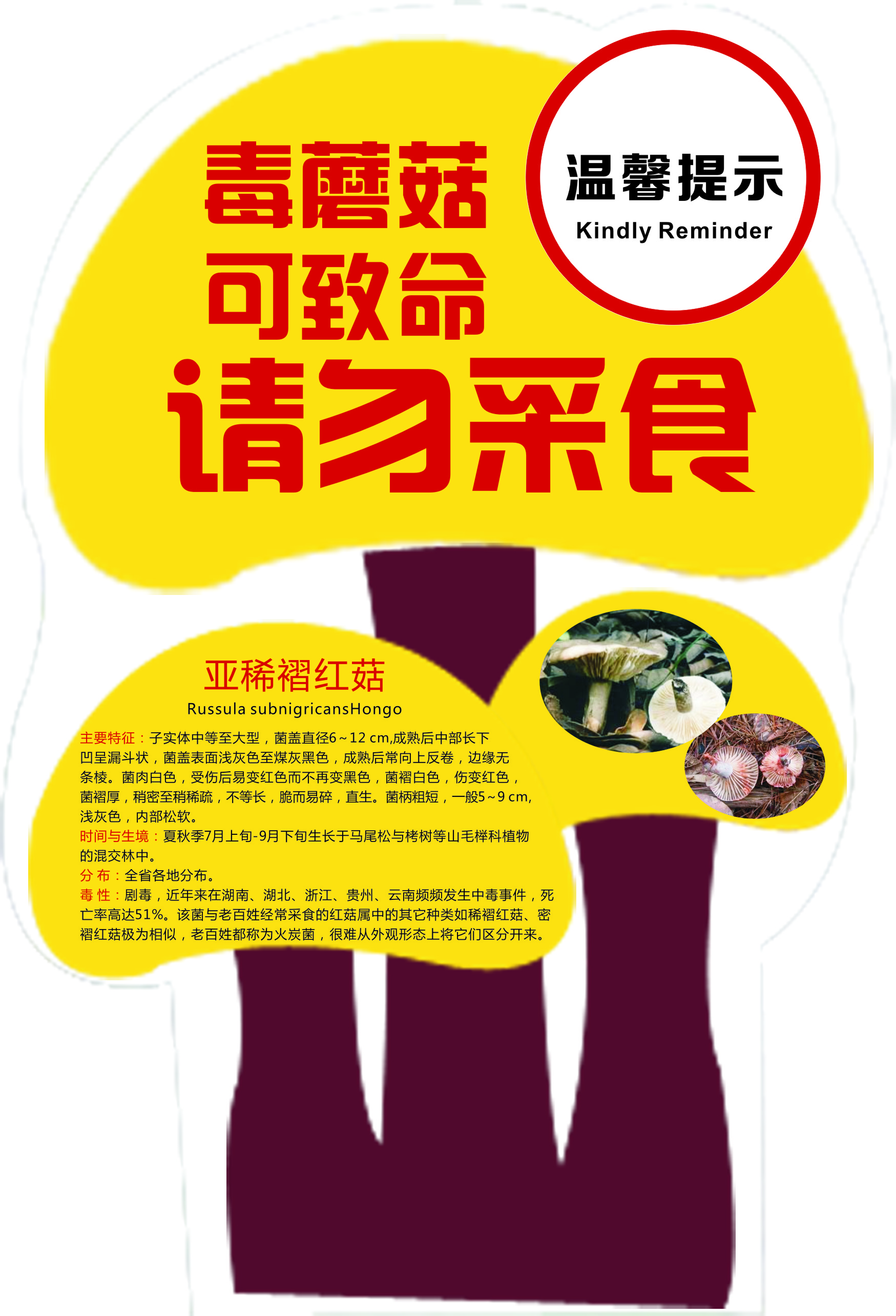 毒蘑菇进山提示牌-亚稀褶红菇.jpg