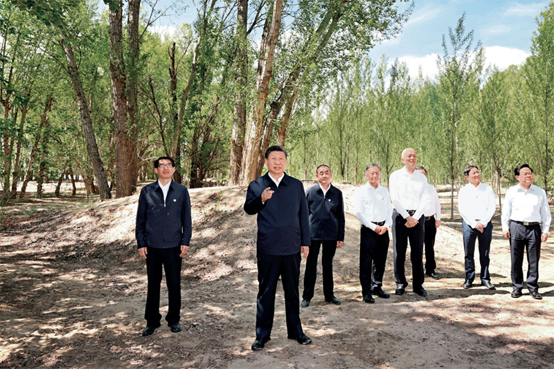 1757923413808.png 图片14.png