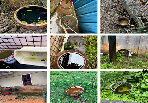 无蚊村_202104302.png 无蚊村_202104302.png