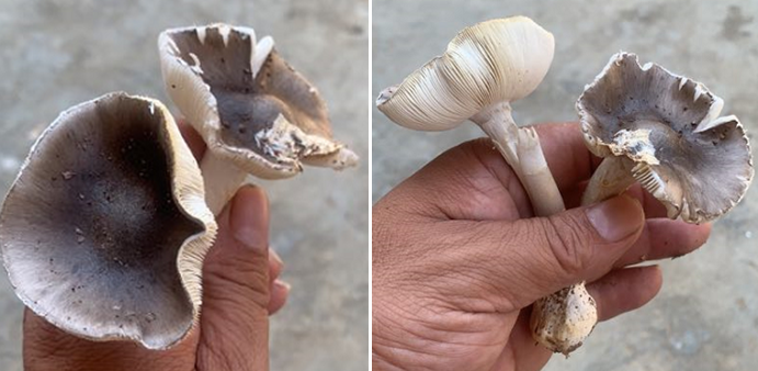 微信图片_20210825092546.png 微信图片_20210825092546.png