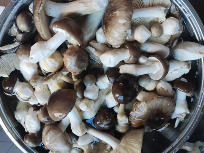 微信图片_20210825092602.png 微信图片_20210825092602.png