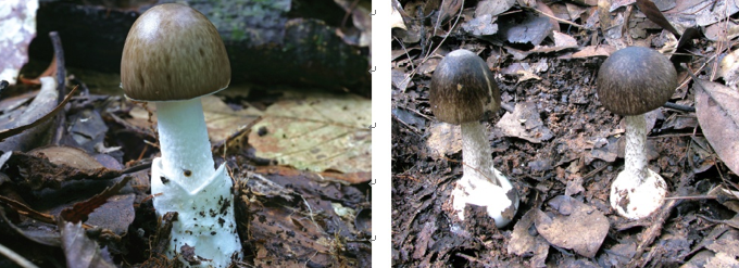 微信图片_20210825092619.png 微信图片_20210825092619.png