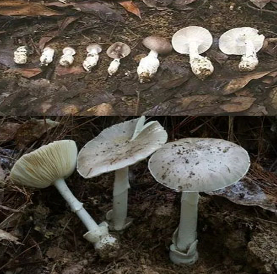 微信图片_20210825092635.png 微信图片_20210825092635.png