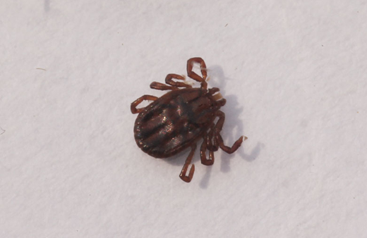 微信图片_20220327172247.png 微信图片_20220327172247.png